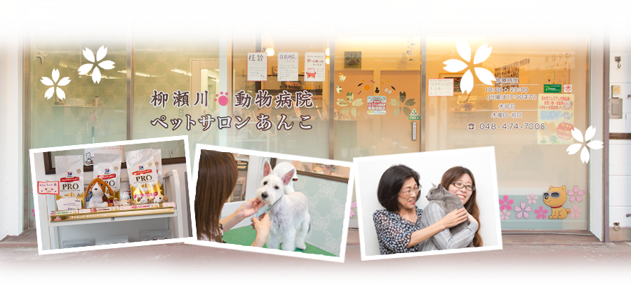 柳瀬川動物病院ペットサロンあんこ