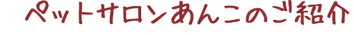 ペットサロンあんこのご紹介