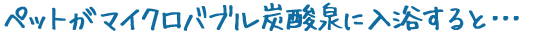 ペットがマイクロバブル炭酸泉に入浴すると