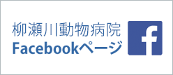 柳瀬川動物病院Facebookページ