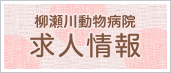 採用情報
