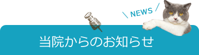 柳瀬川動物病院からのお知らせ